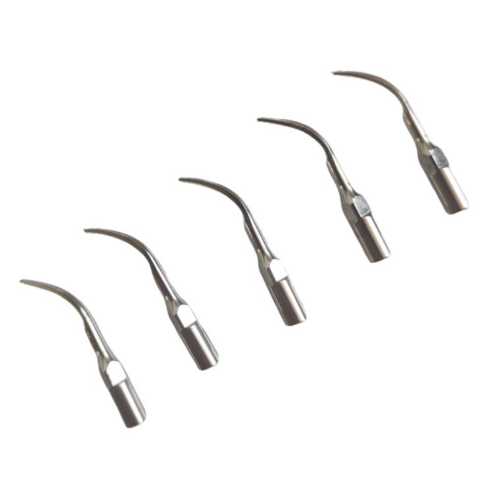 5PCS Dental Scaler Tipps Fit E – Teeth Whitening Shade Guide Bewertung und Preis