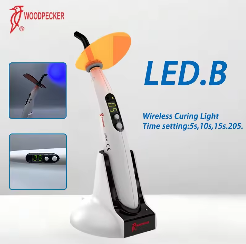 Dental Aushärtung Licht Specht – Teeth Whitening With Light Bewertung und Preis