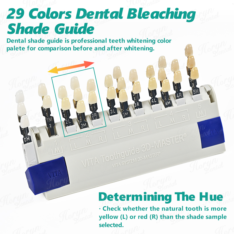 Vita 3D Master Dental Lab Blea – Teeth Whitening Shade Guide Bewertung und Preis
