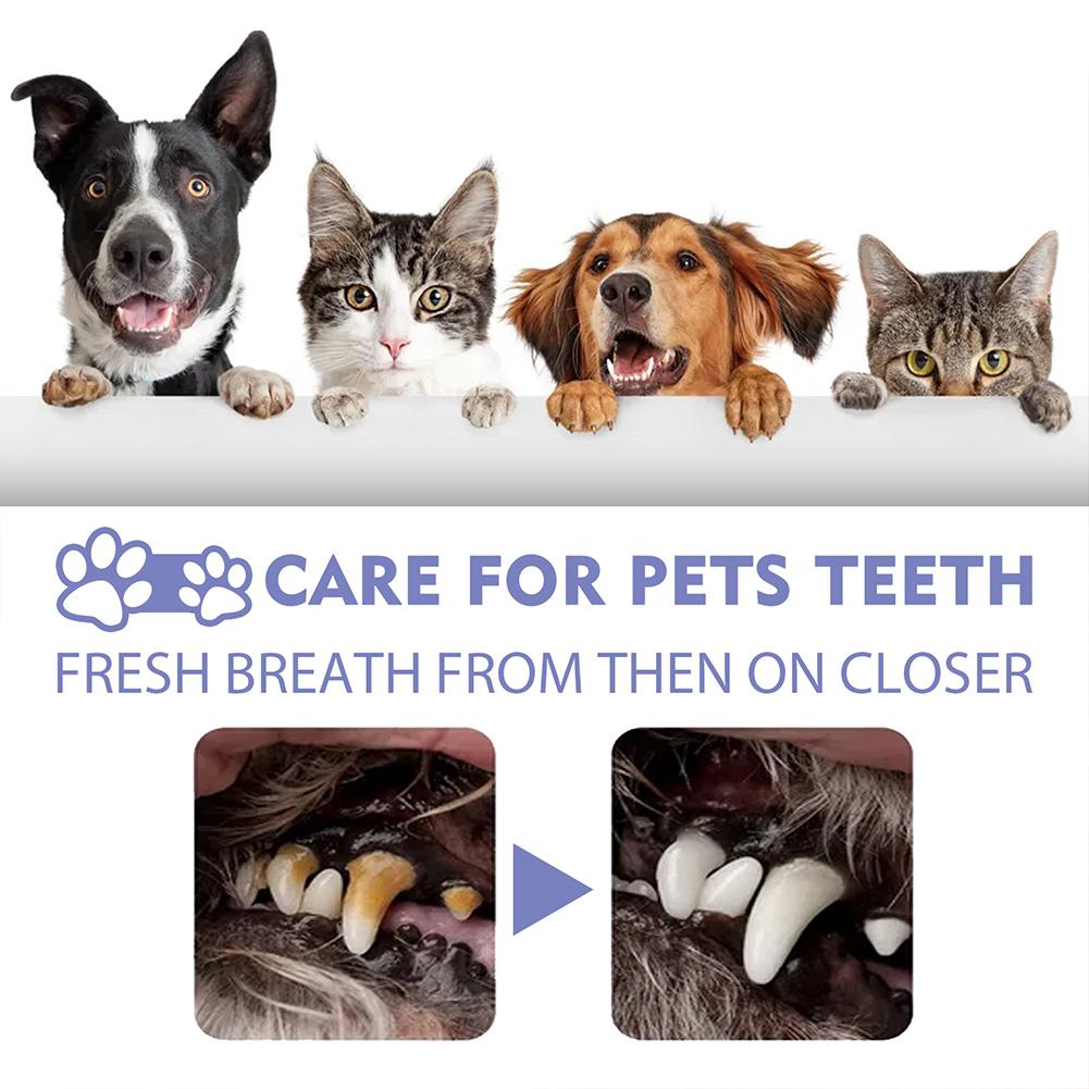 Pet Oral Reinigung Spray Mund  – Colgate Whitening Teeth Bewertung und Preis