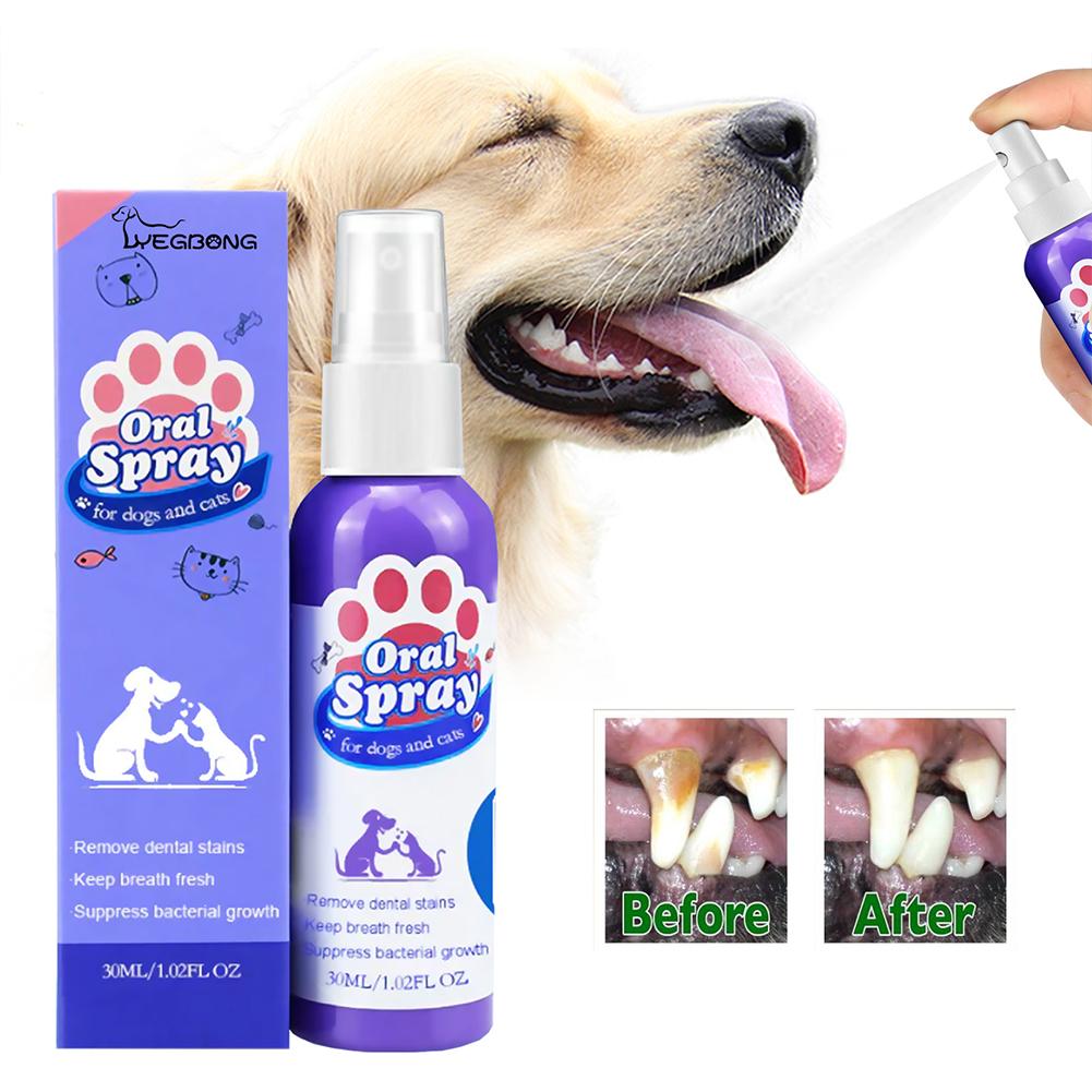 Pet Oral Reinigung Spray Mund  – Colgate Whitening Teeth Bewertung und Preis